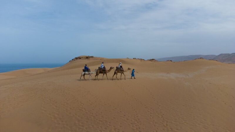 Agadir: Flamingo River Sunset Camel Ride with BBQ Diner - Who Will Love This Experience?