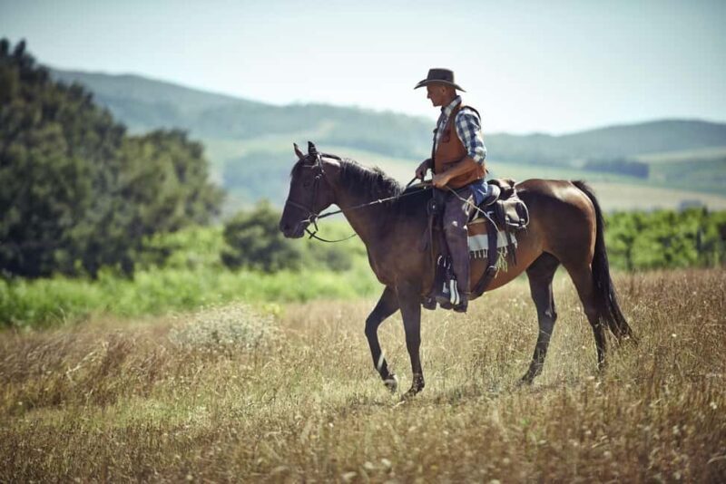 Agadir: Forest and Sand Dunes Guided Horse Riding - The Experience in Detail