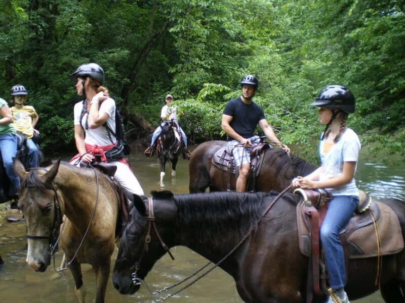 Agadir: Forest and Sand Dunes Guided Horse Riding - Final Thoughts