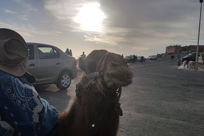 Agadir Guided City Tour Including Hotel pickup - A Closer Look at the Itinerary