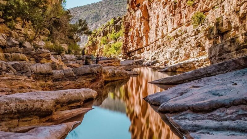 Agadir: Guided Excursion to Paradise Valley - A Detailed Look at the Paradise Valley Tour