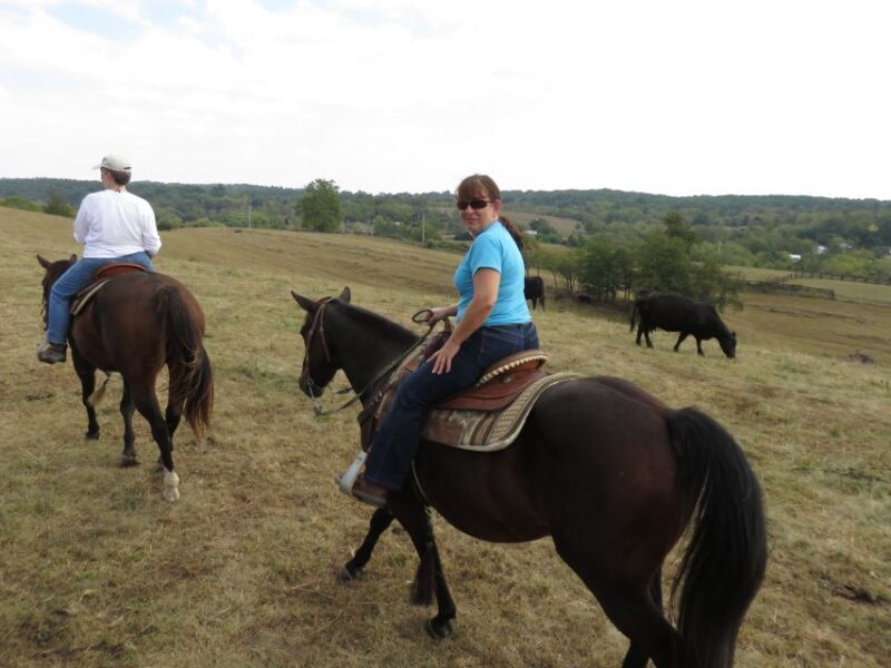 Agadir: Guided Horse Riding Along Flamingo River with Tea - Key Points