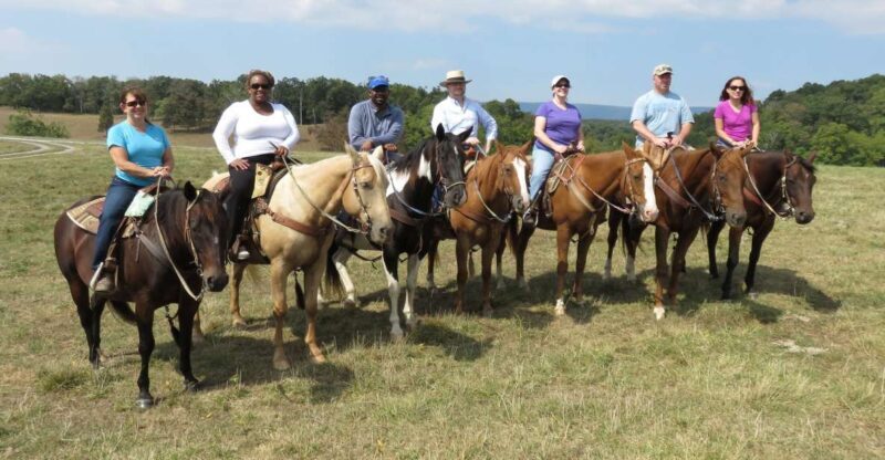 Agadir: Guided Horse Riding Along Flamingo River with Tea - An Overview of the Experience