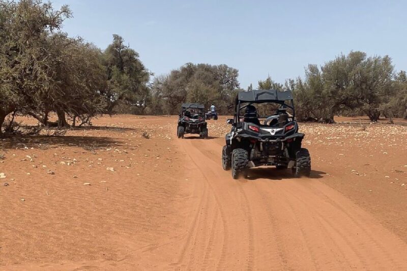 Agadir: Half-Day Desert Dunes Buggy Safari - Key Points  