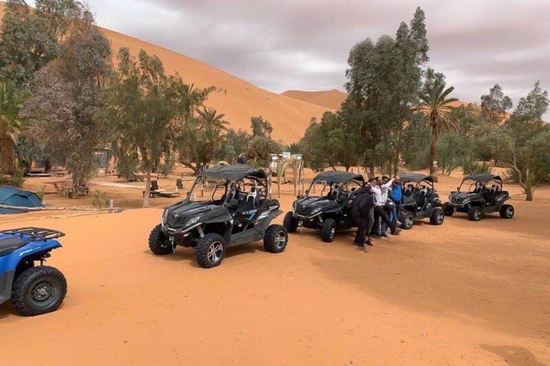 Agadir: Half-Day Desert Dunes Buggy Safari - Authentic Traveler Insights