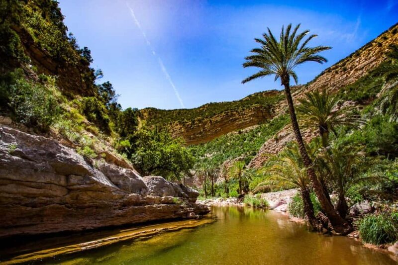 Agadir :Half day Paradise Valley & Atlas Mountains Tour - Key Points