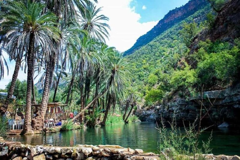 Agadir :Half day Paradise Valley & Atlas Mountains Tour - The Sum Up