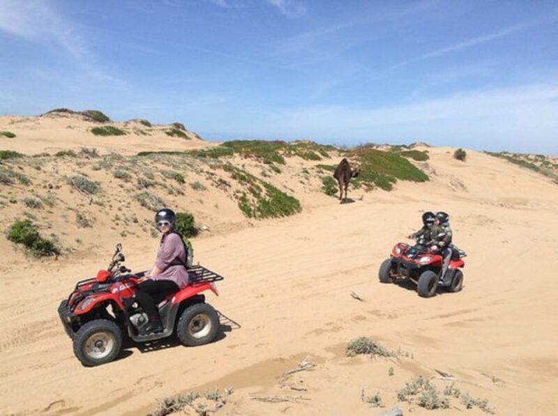 Agadir: Half-Day Quad Biking and Sunset Horse Riding - Final Thoughts
