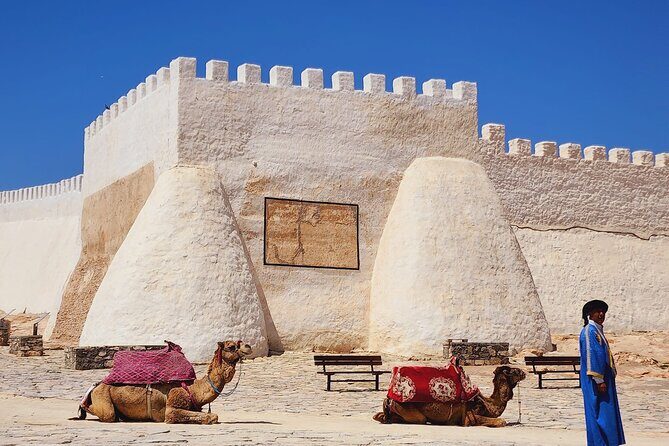 Agadir Half-Day Tour - Discovering the Marina DAgadir