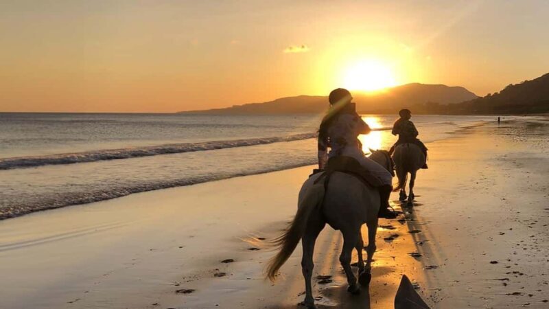 agadir: Horse Ride Tour with Traditional Lunch - Key Points