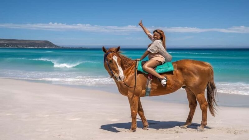 agadir: Horse Ride Tour with Traditional Lunch - The Itinerary and Experience