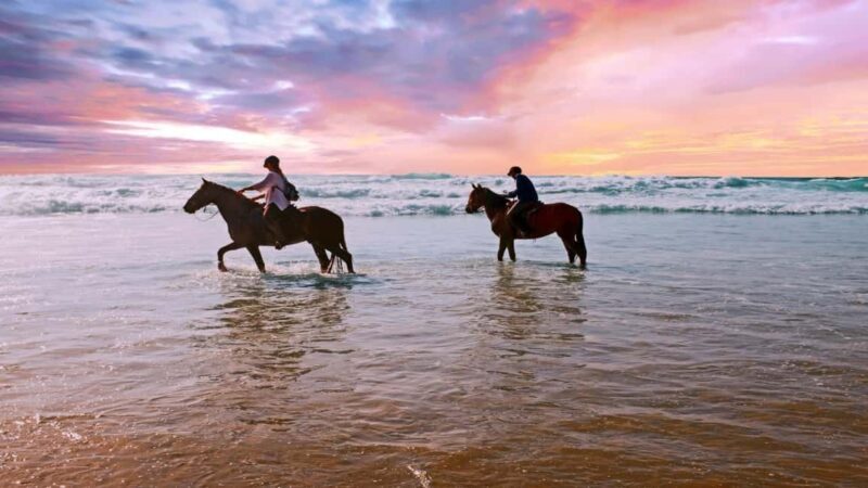 agadir: Horse Ride Tour with Traditional Lunch - The Value of the Experience