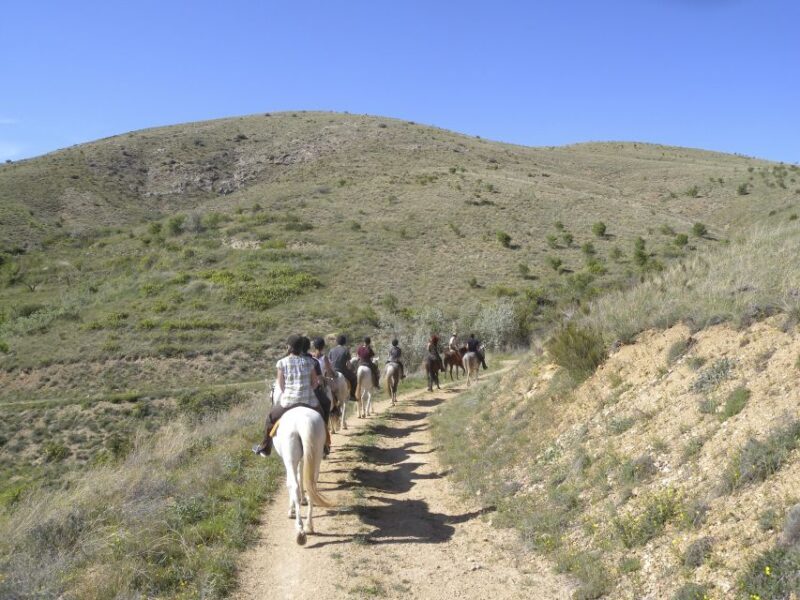 Agadir Horse Riding visite the flamingo river with tea drink - Final Thoughts