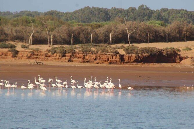 Agadir Jeep Safari Sahara Desert 4x4 Day Tour with Lunch - Crafting Morocco: Sidi-Bibi Pottery Workshop