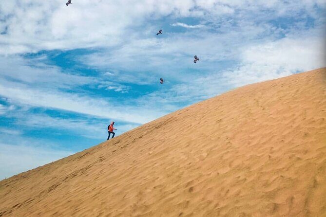 Agadir Jeep Safari Sahara Desert 4x4 Day Tour with Lunch - Panoramic Views at Youssef Ibn Tachfin Dam