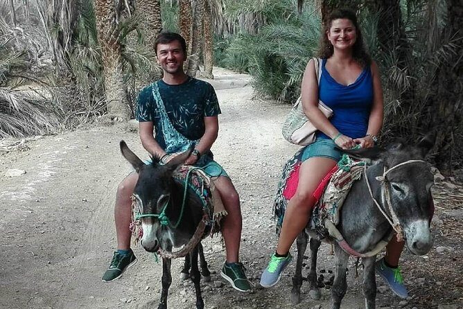 Agadir Morocco: Day Trip To Taroudant & Tiout Oasis with Lunch - Key Points