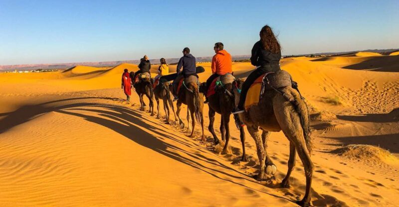 Agadir or Taghazout: 2-Day Zagora Desert Guided Tour - Meal & Accommodation Details