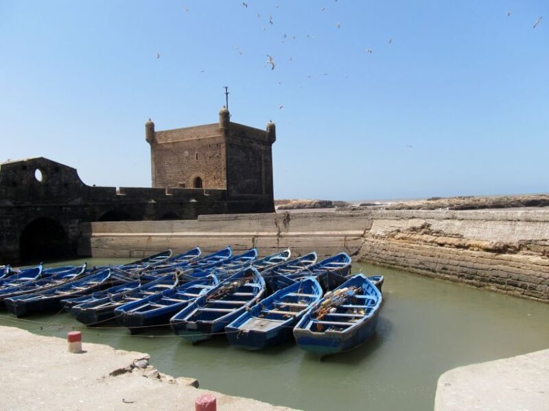 Agadir or Taghazout Essaouira old city day Trip with guide - Key Points