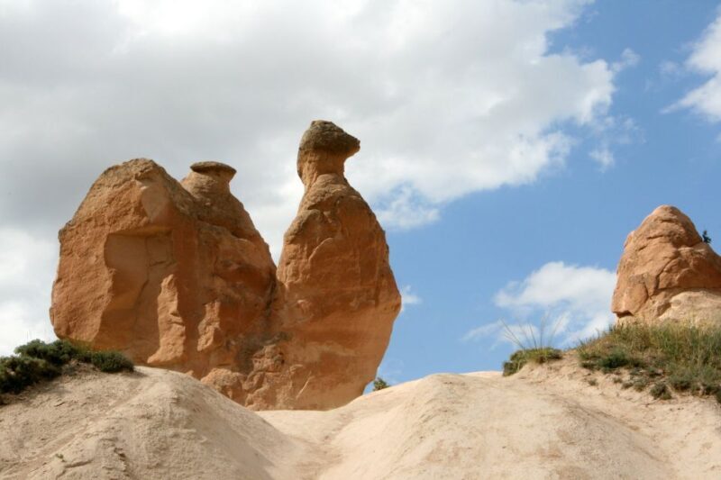 Agadir or Taghazout: Paradise Valley Atlas Mountain & Lunch - Final Thoughts