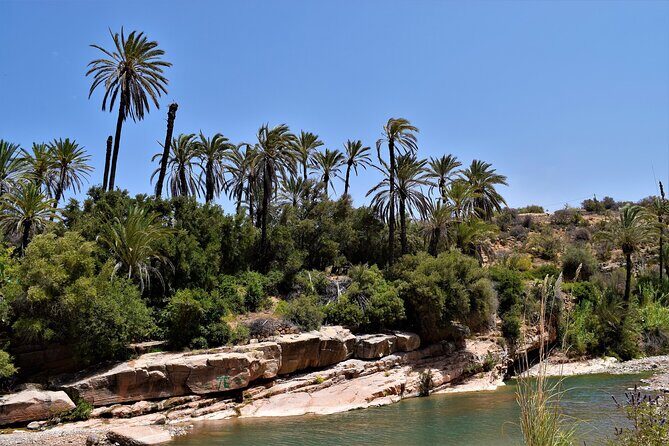 Agadir or Taghazout: Paradise Valley Atlas Mountain Swimming Trip - What to Expect from the Tour