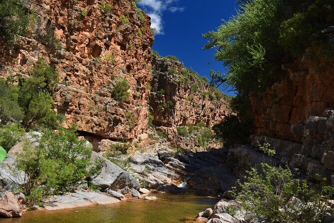 Agadir or Taghazout: Paradise Valley Atlas Mountain Swimming Trip - Who Should Consider This Tour?