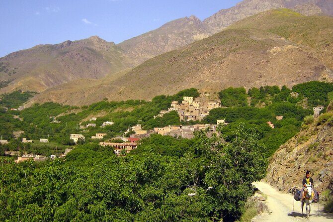 Agadir or Taghazout: Paradise Valley Atlas Mountain Swimming Trip - FAQ