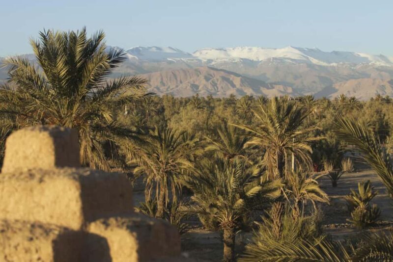 Agadir or Taghazout: Paradise Valley Atlas Mountain Trip - FAQ