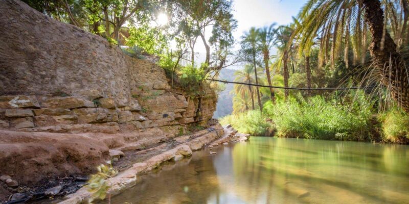 Agadir or Taghazout: Paradise Valley Atlas Mountain Trip - Key Points 