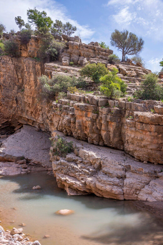 Agadir or Taghazout: Paradise Valley Atlas Mountain Trip - Final Thoughts