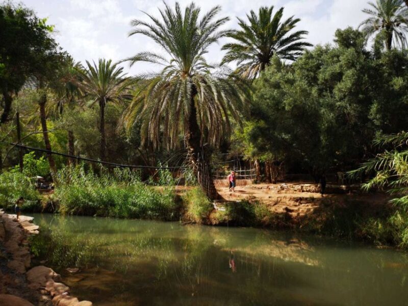 Agadir or Taghazout: Paradise Valley Atlas Mountains Tour - Who Is This Tour Best For?