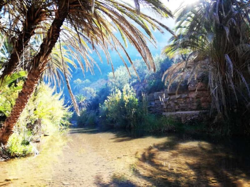 Agadir or Taghazout: Paradise Valley Atlas Mountains Trip - Key Points