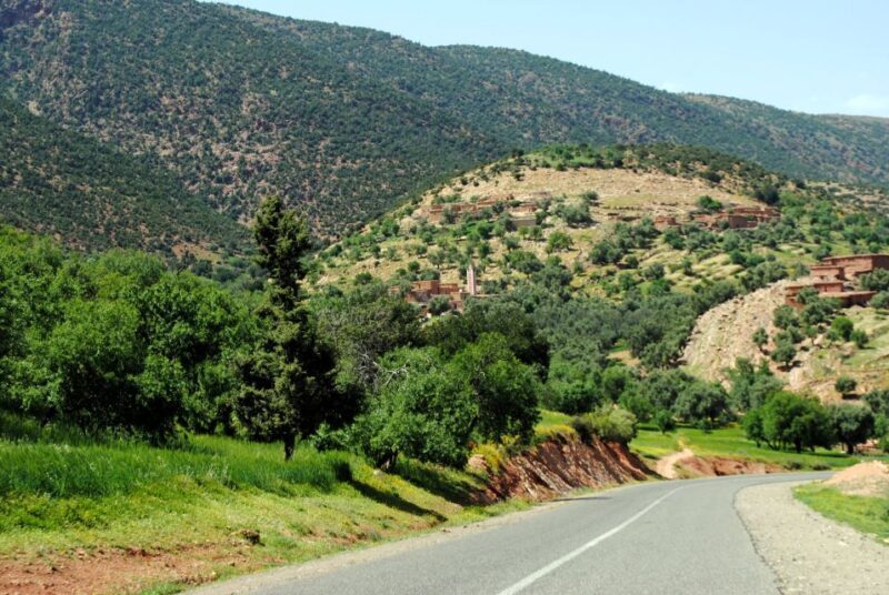 Agadir or Taghazout: Paradise Valley Tour with Swimming - Practical Tips for Travelers