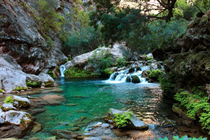 Agadir or Taghazout: Paradise Valley with Lunch & Transfers - Key Points
