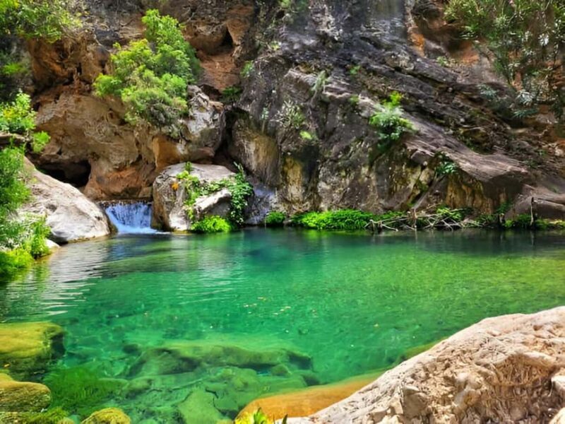 Agadir or Taghazout: Paradise Valley with Lunch & Transfers - An In-Depth Look at the Tour: What’s Included and What to Expect