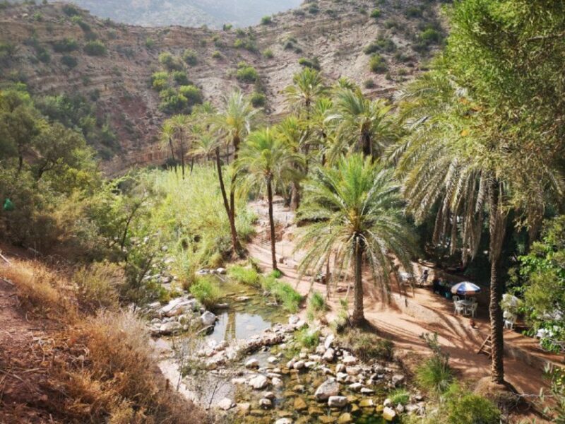Agadir: Paradise Valley & Desert Sand Dunes with Camel Ride - The Sum Up
