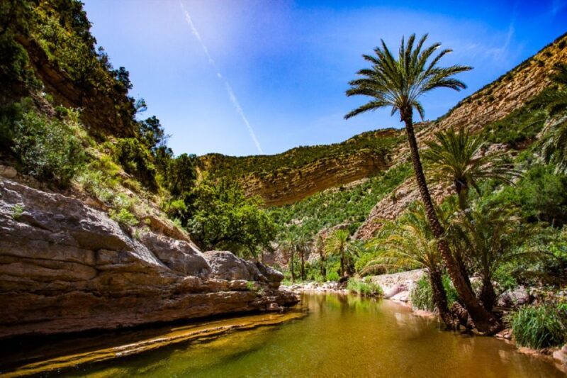 Agadir: Paradise Valley & Desert Sand Dunes with Camel Ride - Lunch: A Moroccan Home-Cooked Meal