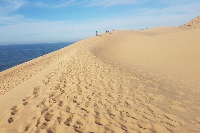 Agadir: Paradise Valley & Desert Sand Dunes With Camel Ride - Who Is This Tour Best For?