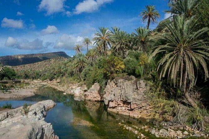 Agadir Paradise Valley Guided Tour Swimming & Breakfast - Authenticity and Local Insights: What Sets This Tour Apart