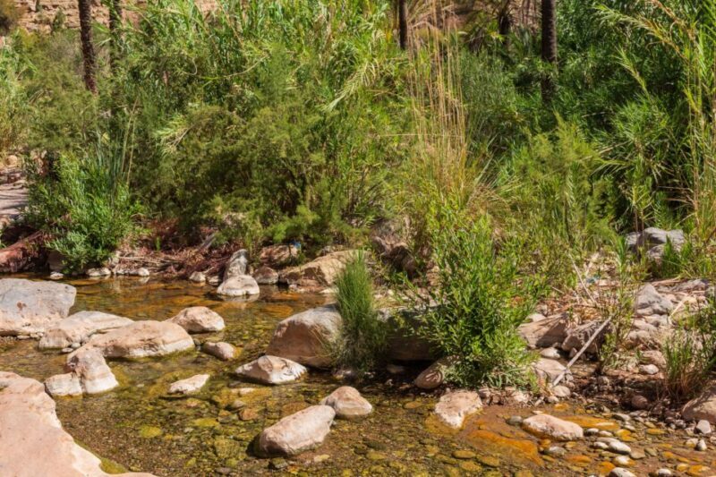 Agadir: Paradise Valley Tour and Atlas Mountains - Who Is This Tour For?