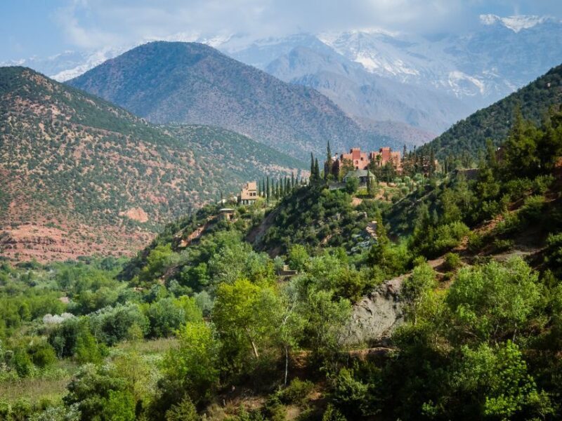 Agadir: Paradise Valley Tour and Atlas Mountains - The Sum Up