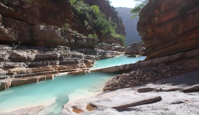 Agadir: Paradise valley Trip Afternoon Departure - An Introduction to the Paradise Valley Tour