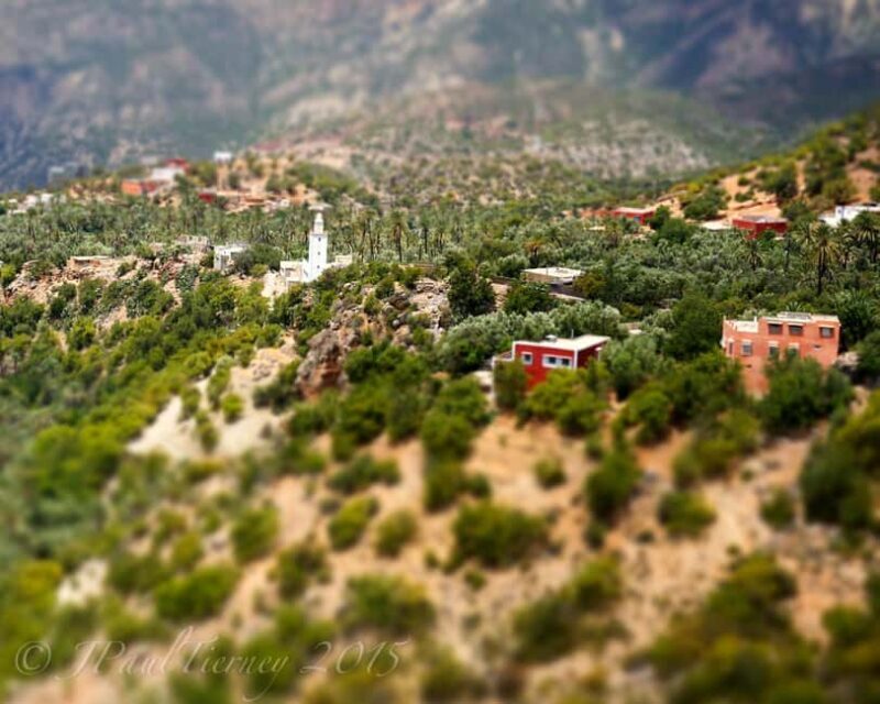 Agadir Paradise Valley Trip Hiking & Swimming - An In-Depth Look at the Paradise Valley Trip