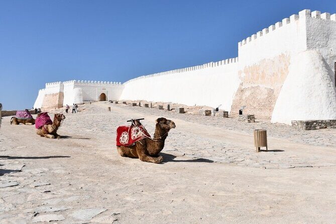 Agadir: Private Half-Day City Tour - Final Thoughts
