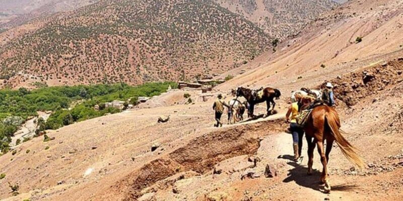 Agadir: Quad Bike Tour Safari with a Crocopark Ticket - Practical Details