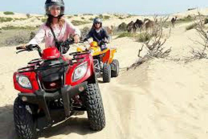 Agadir Quad Biking and Horse Riding with snacks - Who Should Consider This Tour