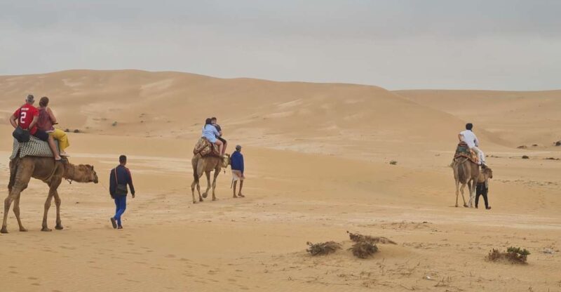 Agadir: Sahara Desert Camel ride & Sandboarding Halfday Trip - Key Points