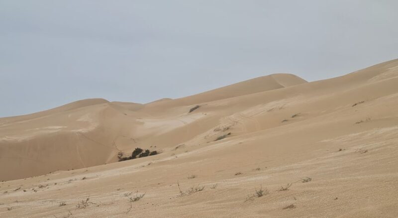 Agadir: Sahara Desert Camel ride & Sandboarding Halfday Trip - Free Time and The Dunes Scenic Beauty