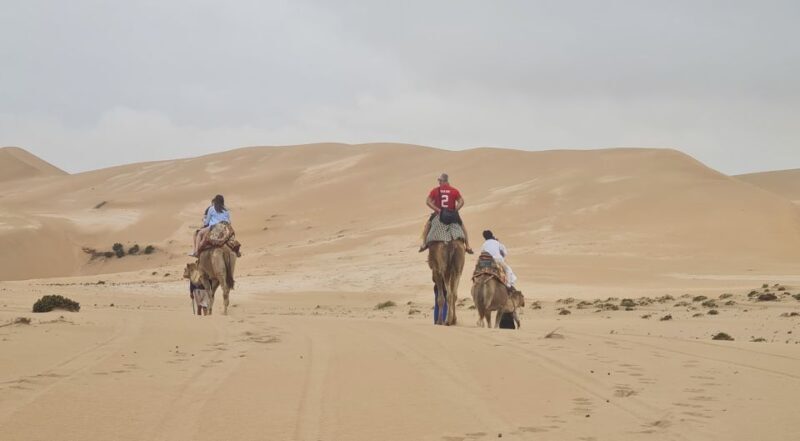 Agadir: Sahara Desert Camel ride & Sandboarding Halfday Trip - Value for Money