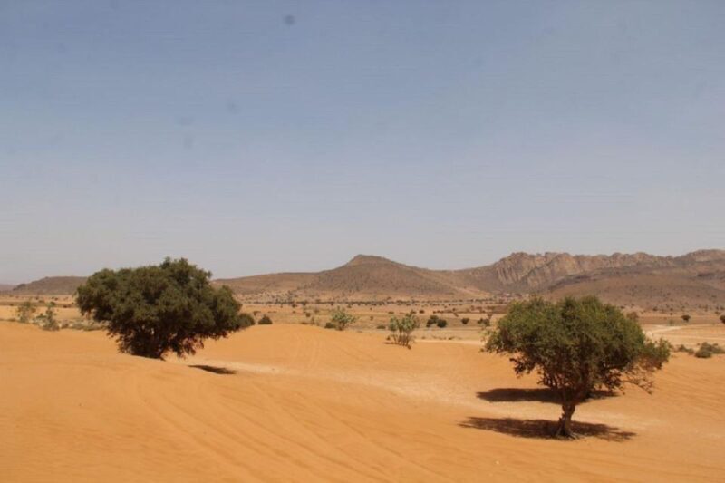 Agadir: Sahara Desert & Tiznit Medina Privet Tour & Lunch - FAQ