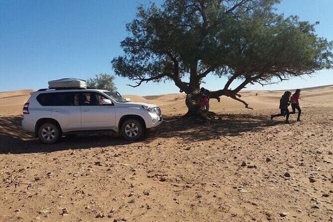 Agadir Sahara Desert with Lunch and Camel Ride - Including a Camel Ride for a True Desert Experience